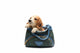 Adorable Puppy Dog in a Designer Style Tote Bag Figurine Statue|286990692266
