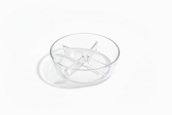 Vintage Royal Krona Sweden Divided Glass Serving Dish Bowl 4 Section MCM Scandi|286956493368