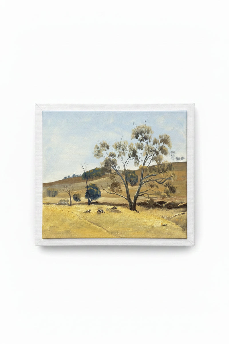 Original Oil Painting Signed Neville Giffen Australian Landscape Eucalypt Bush|286970360484