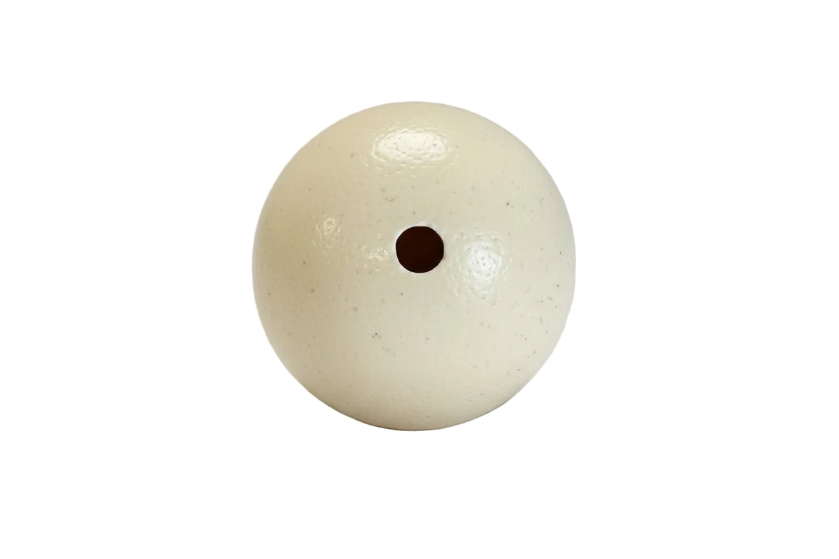 Vintage Genuine Empty Ostrich Egg Shell Large|287051705106