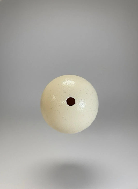 Vintage Genuine Empty Ostrich Egg Shell Large|287051705106