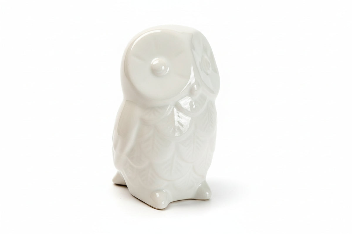 Ashlan Owl 4511|286879060270
