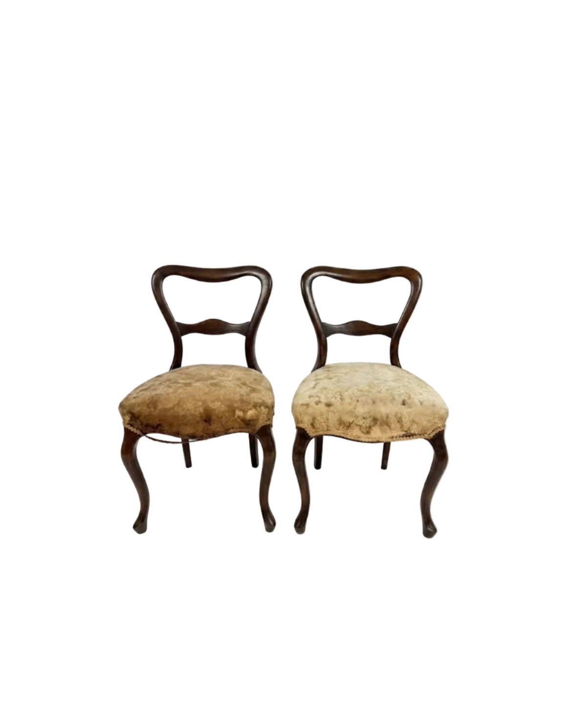 Antique Victorian Balloon Back Dining Chairs — Pair