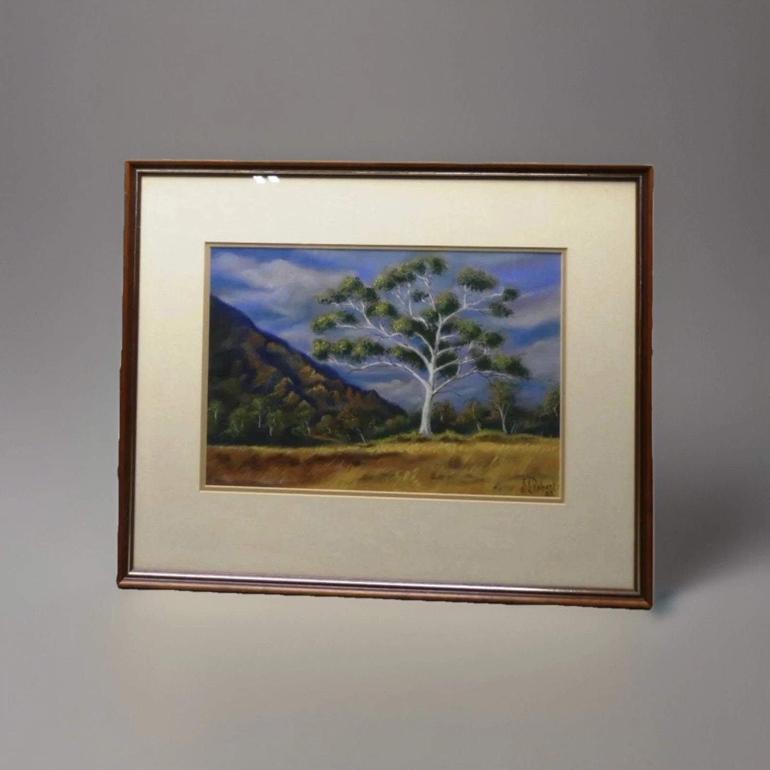 VINTAGE R.S. ROBERT'S Australian Landscape Painting Gum Tree Signed 1989|286918382075