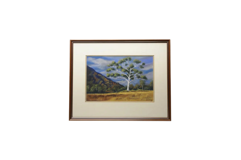 VINTAGE R.S. ROBERT'S Australian Landscape Painting Gum Tree Signed 1989|286918382075