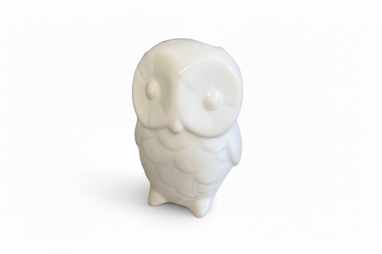 Ashlan Owl 4511|286879060270