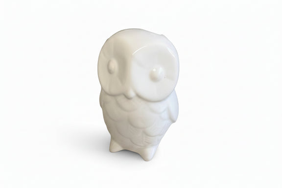 Ashlan Owl 4511|286879060270